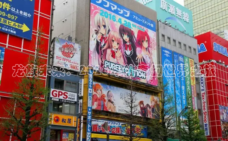 杏耀手机登录地址